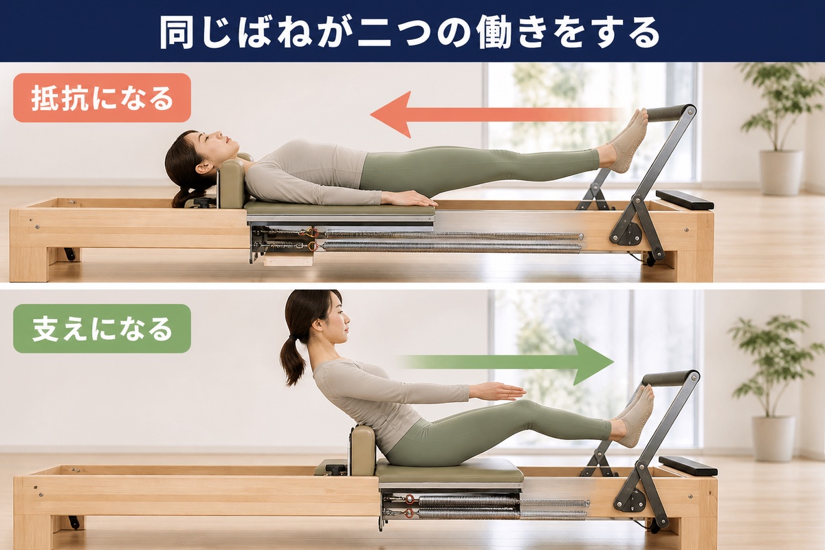 スプリングの働き。同じ本数でも、種目によって抵抗になる場合と助けになる場合がある