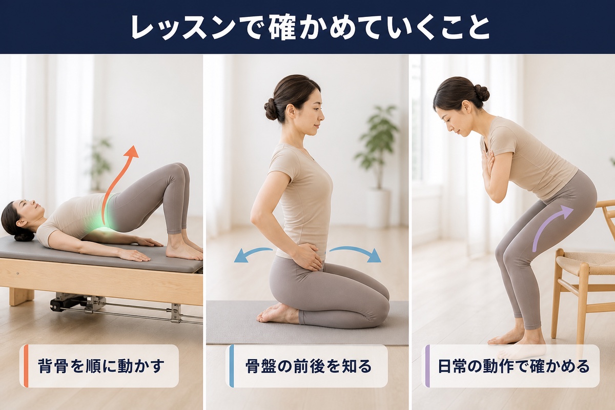 レッスンで確かめていくこと。背骨を順に動かす、骨盤の前後を知る、日常の動作で確かめる