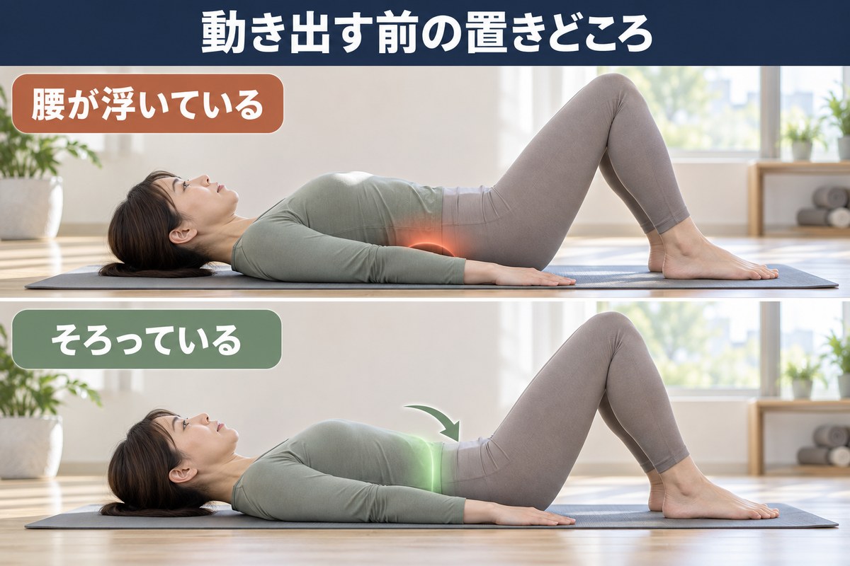 胴体の置きどころの対比。骨盤と肋骨がそろった位置と、腰が反った位置
