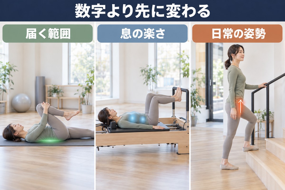 体重以外に確かめる3つ。動かせる範囲、同じ動きの軽さ、日常の姿勢