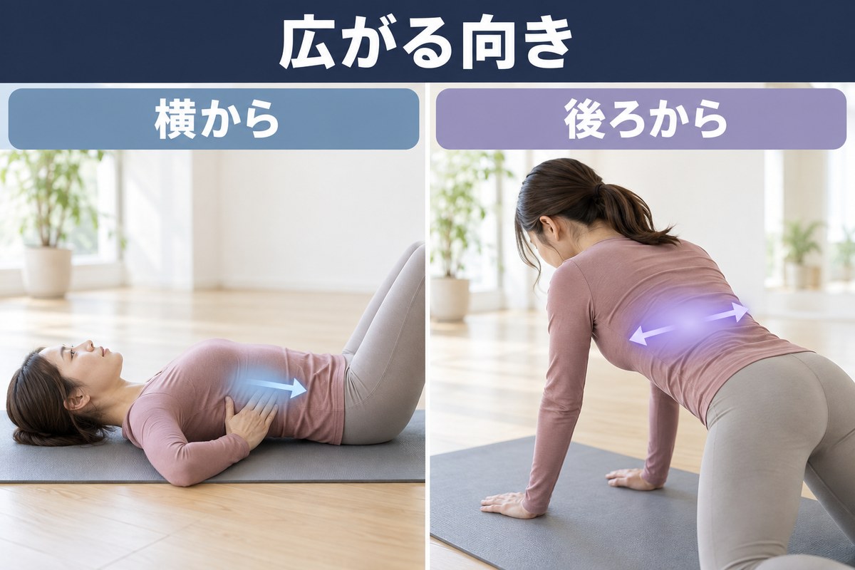 息を吸ったときに肋骨が横と後ろへ広がる向き